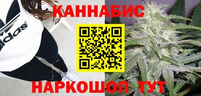 гидра Кандалакша